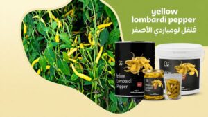 Lombardy pepper