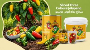 SlicedTrio Colored Jalapeno Pepper