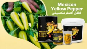 Mexican Pepper