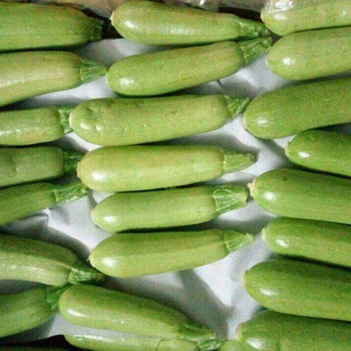 Courgette