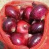 Red onion