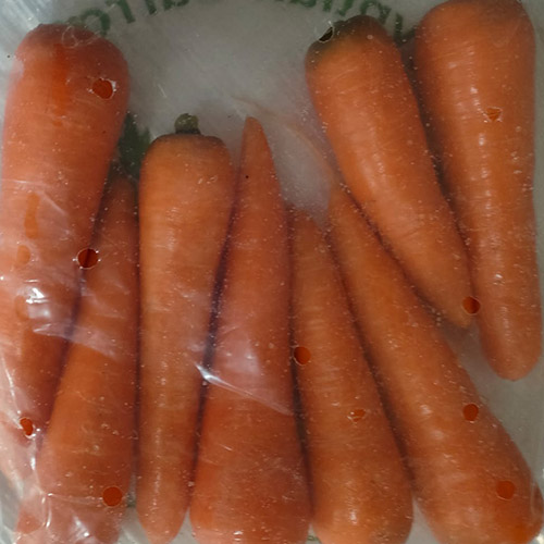 Carrot