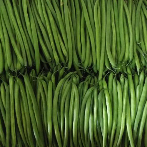 Green beans