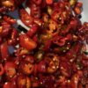 Sliced Red Jalapeno Pepper