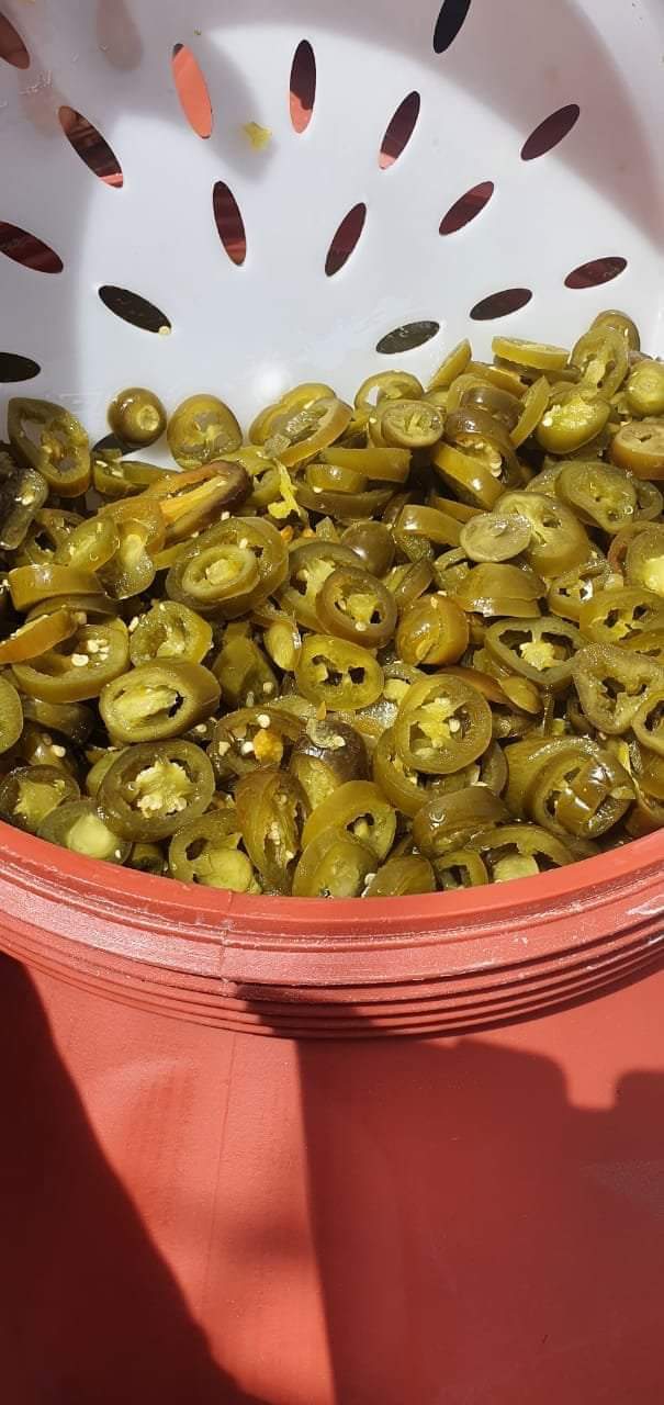 2 Sliced Green Jalapeno Pepper