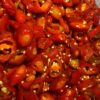 Sliced Red Jalapeno Pepper