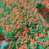 Frozen peas with carrots