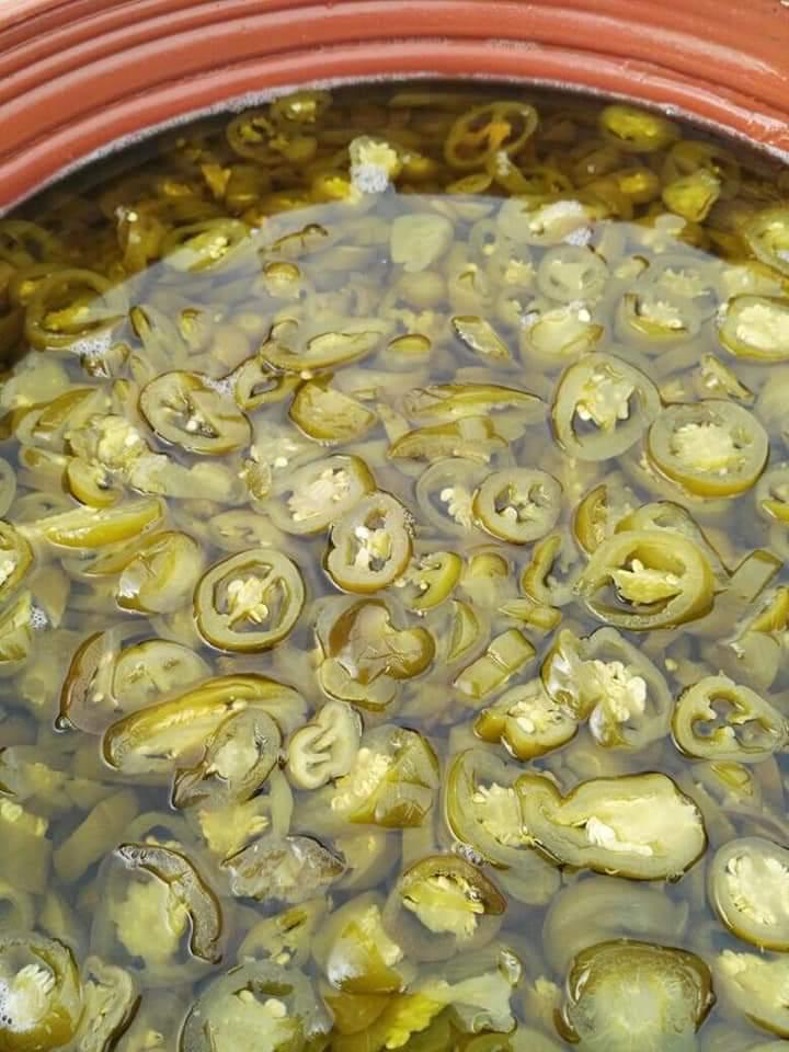 4 Sliced Green Jalapeno Pepper