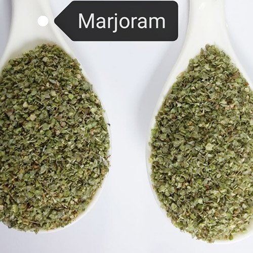 Marjoram