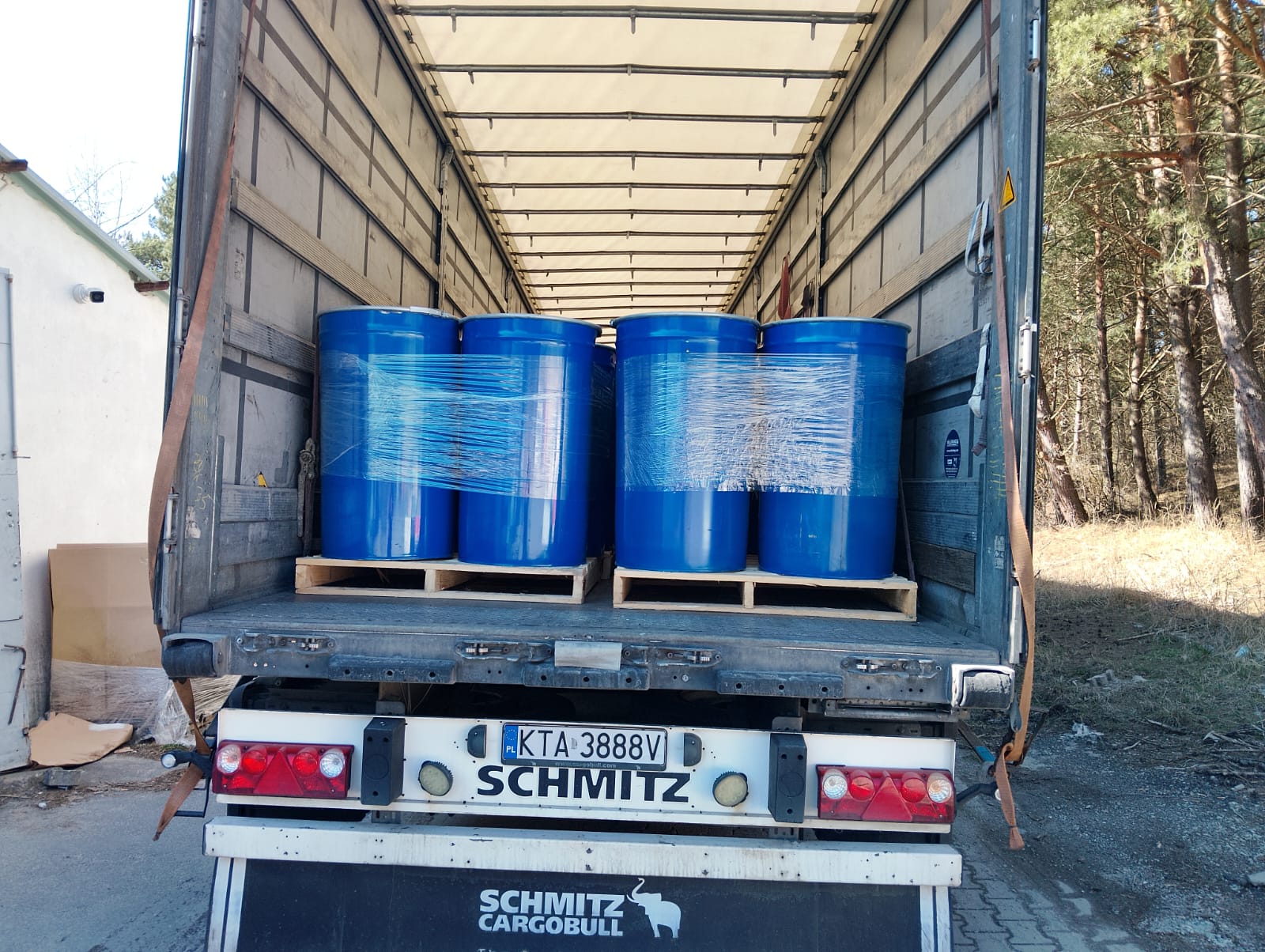 Tomato pulp 10/12 brix